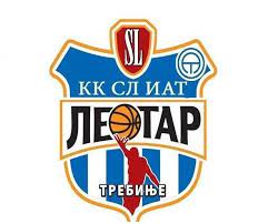 KK LEOTAR Team Logo